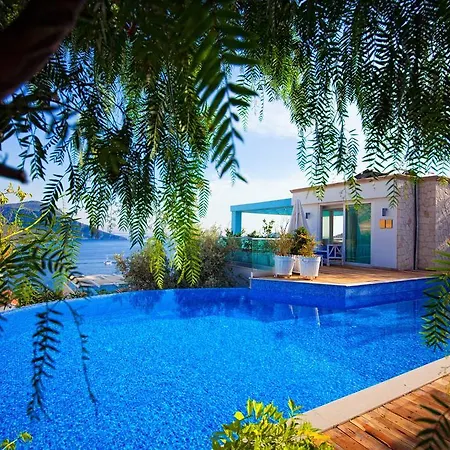 Hotel Asfiya Sea View 2*